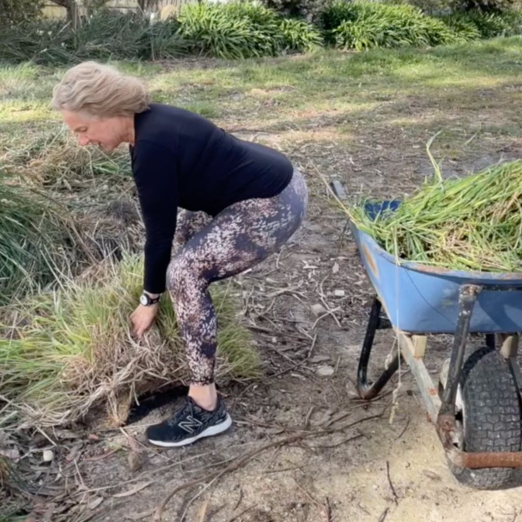 bended lift weeds