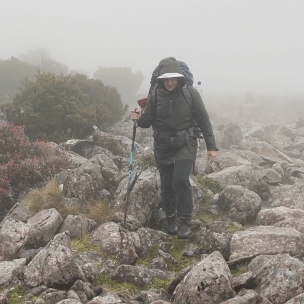 gait hiking