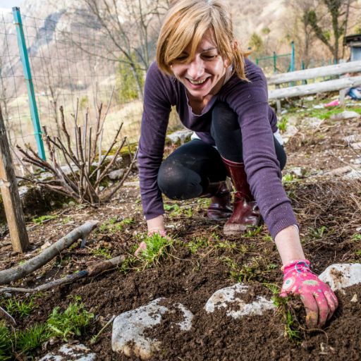 squatting women weeding garden
