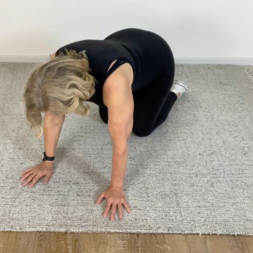 trunk mobility rotation stretches 15