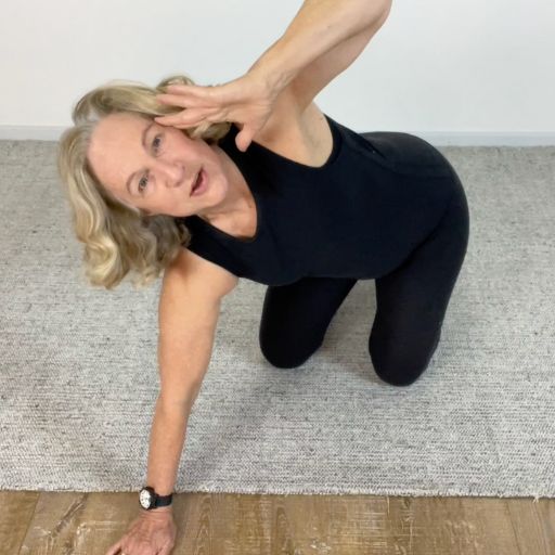 trunk mobility rotation stretches 18