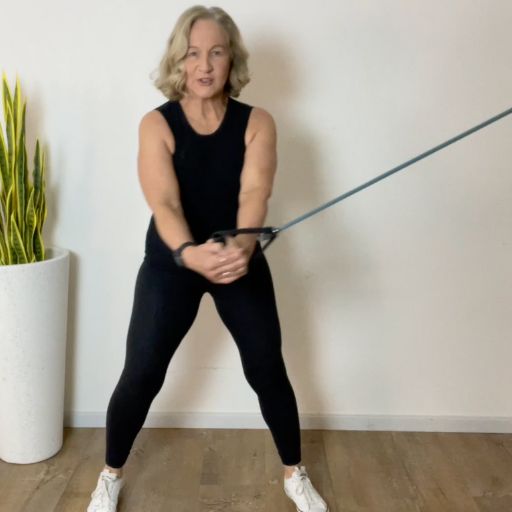 trunk rotation mobility band high to low 3
