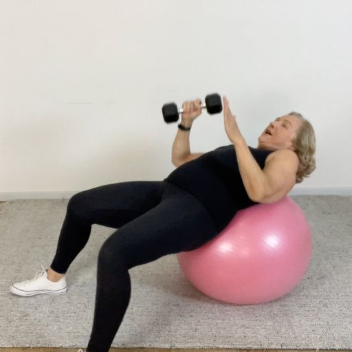 trunk rotation mobility fit ball twist press 2