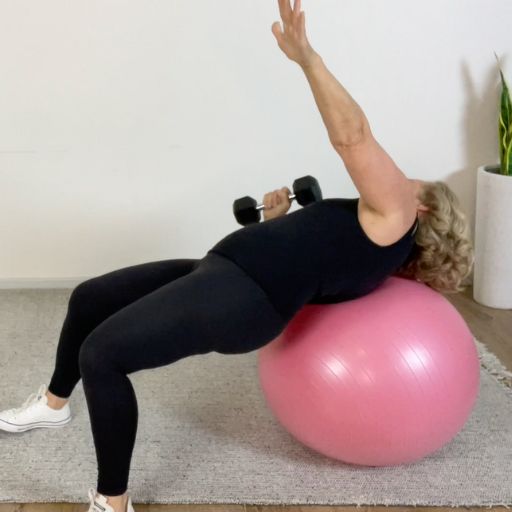 trunk rotation mobility fit ball twist press 4
