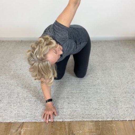 floor side to side rotations 13
