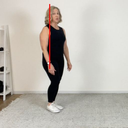 gait walking 4
